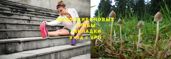 марки lsd Горняк