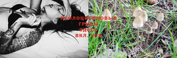 мескалин Горно-Алтайск